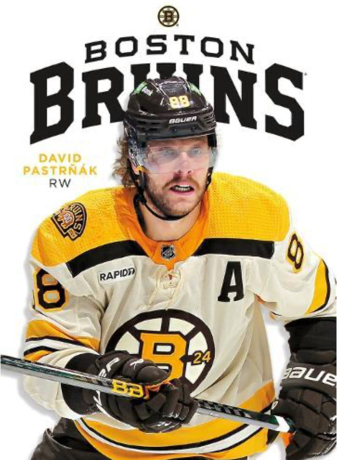 NHL Boston bruins poster